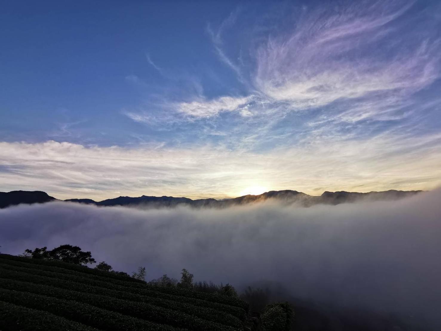 Alishan Tea Garden B&B Fenchihu Dış mekan fotoğraf