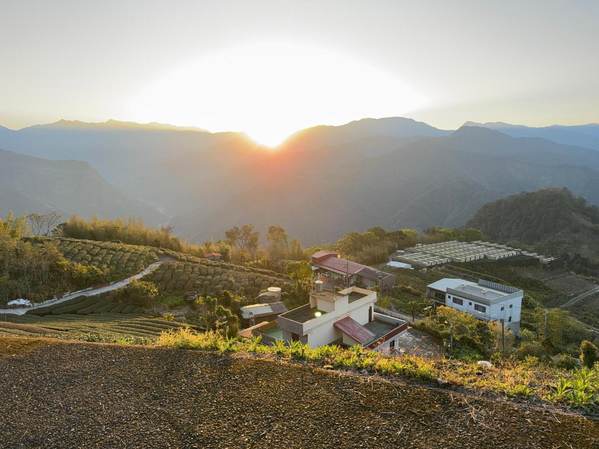 Alishan Tea Garden B&B Fenchihu Dış mekan fotoğraf