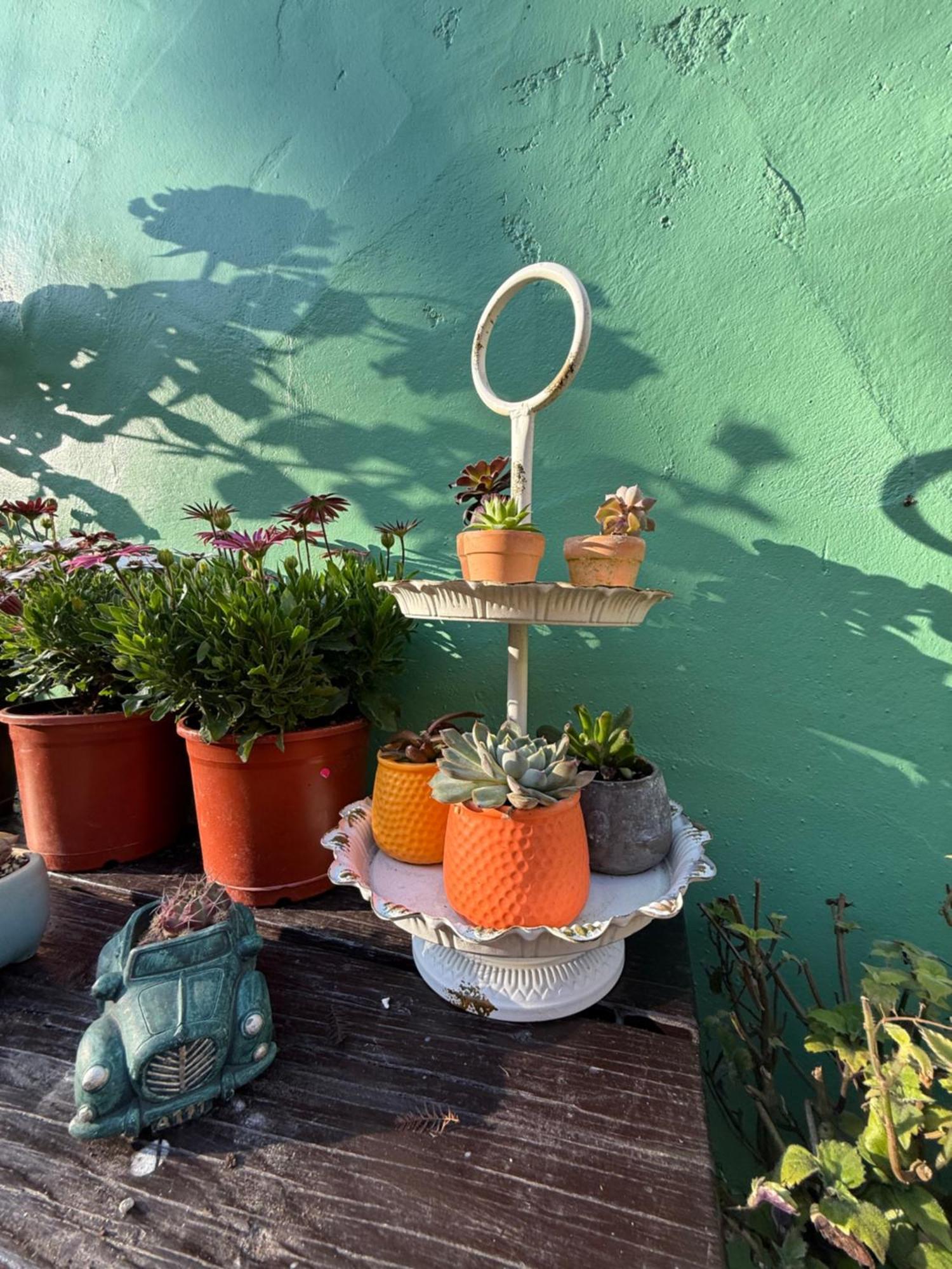 Alishan Tea Garden B&B Fenchihu Dış mekan fotoğraf