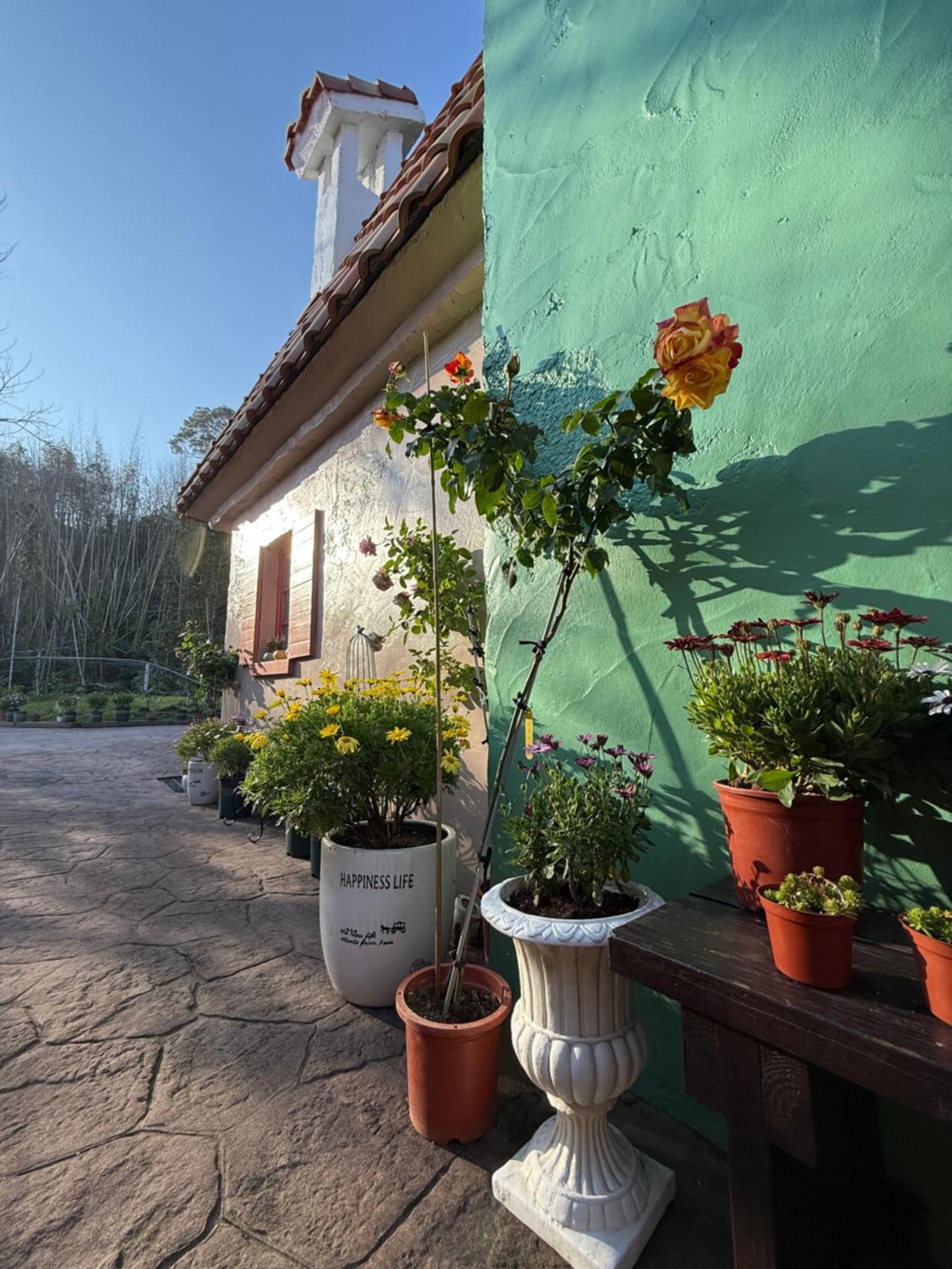 Alishan Tea Garden B&B Fenchihu Dış mekan fotoğraf