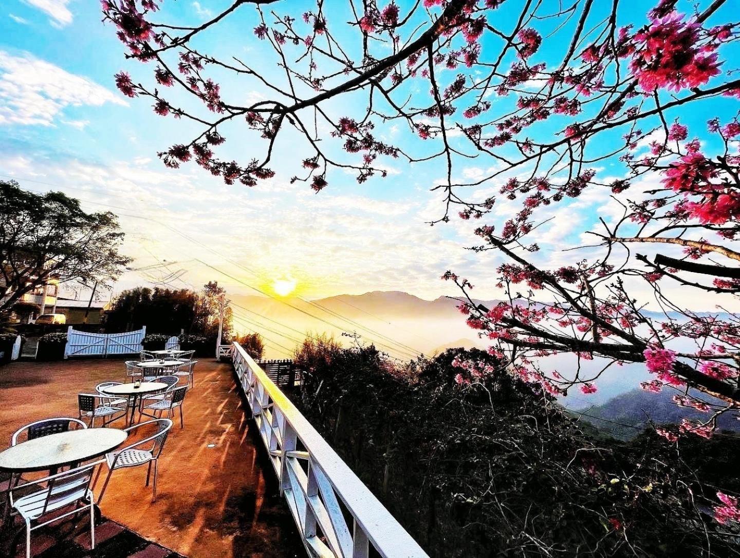 Alishan Tea Garden B&B Fenchihu Dış mekan fotoğraf