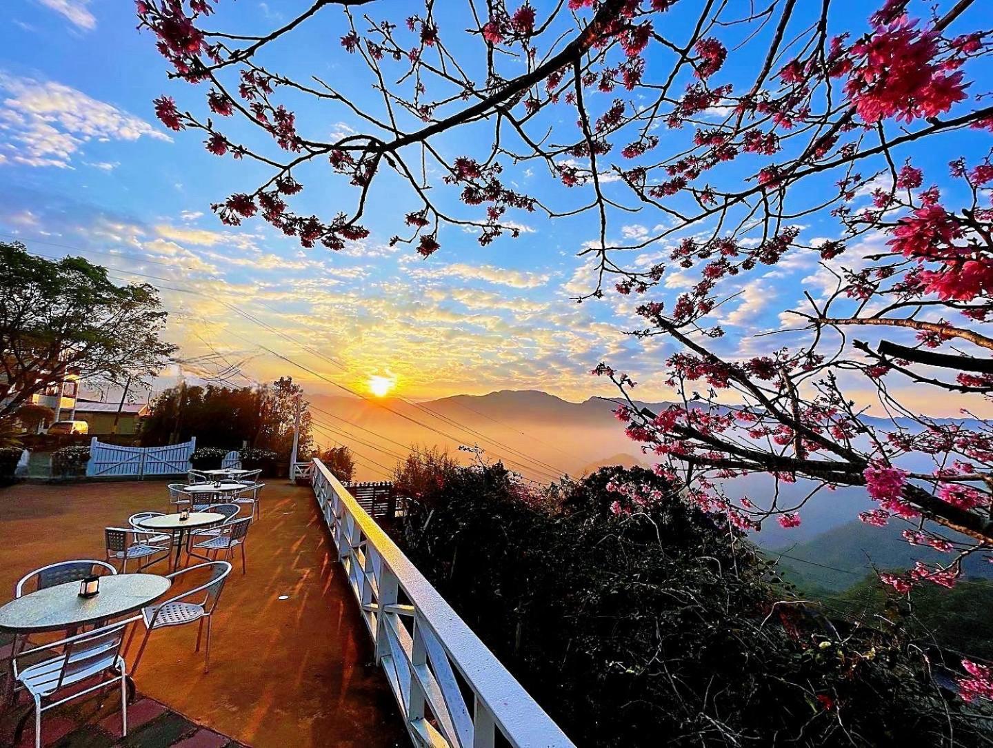 Alishan Tea Garden B&B Fenchihu Dış mekan fotoğraf