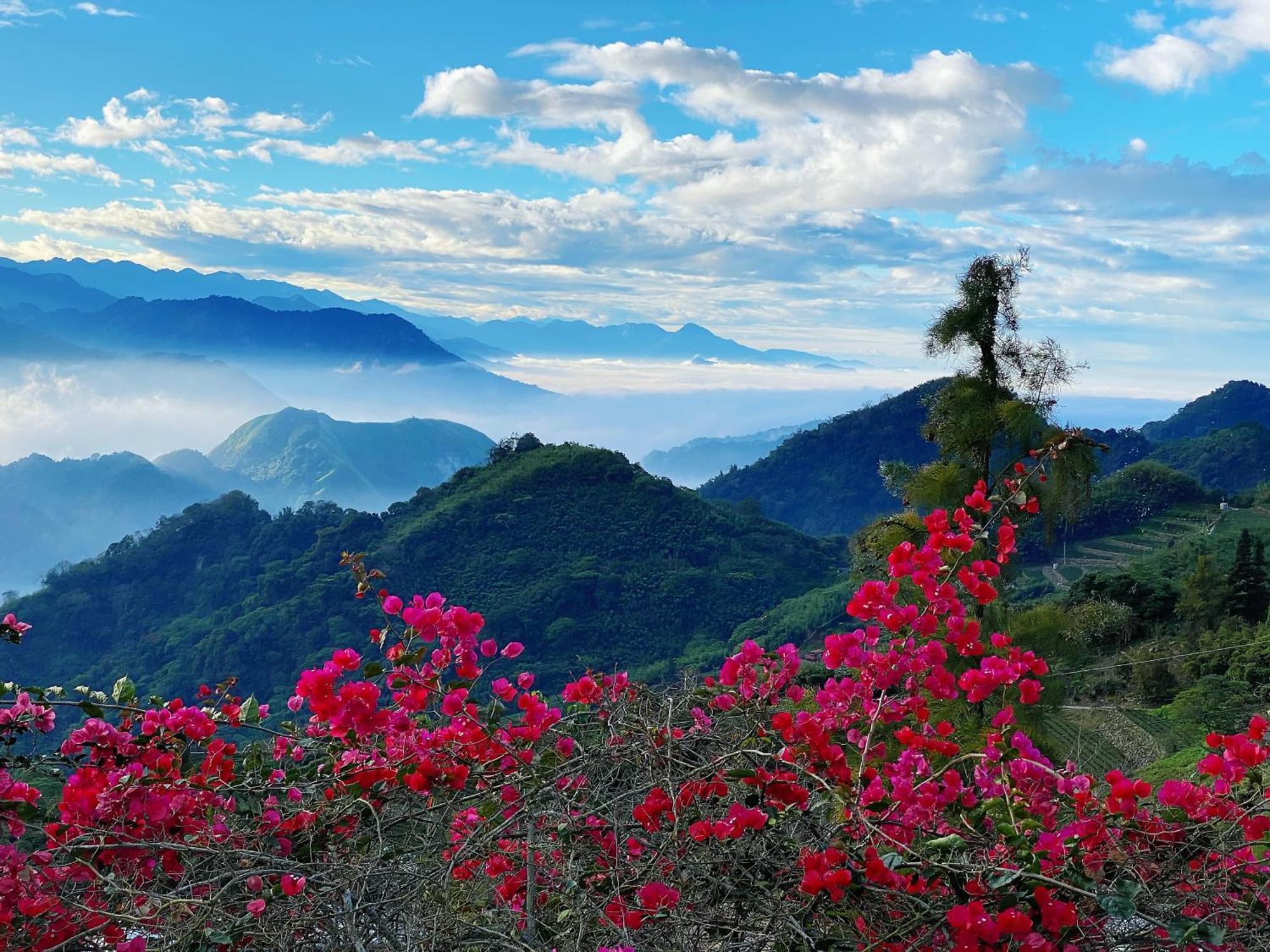 Alishan Tea Garden B&B Fenchihu Dış mekan fotoğraf