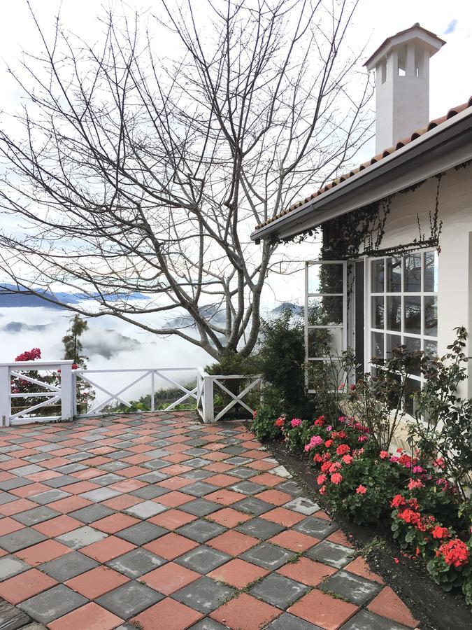 Alishan Tea Garden B&B Fenchihu Dış mekan fotoğraf